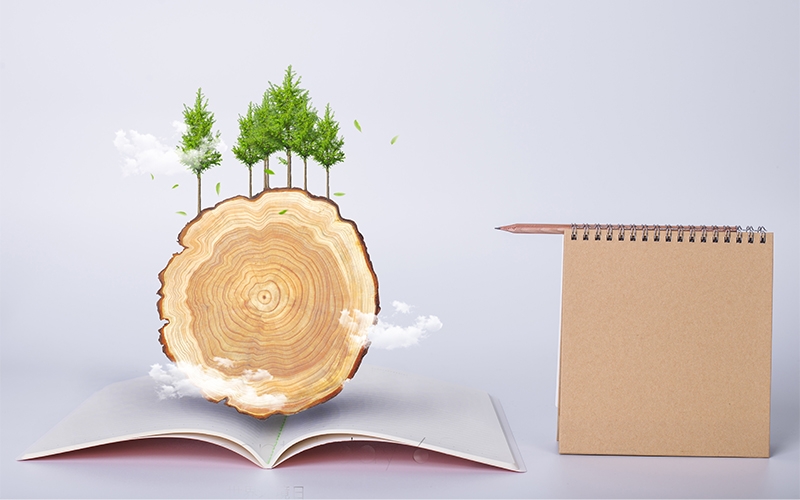 關于紙的知識，你平時知多少