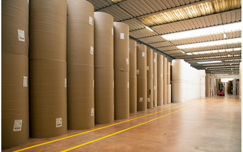 你對紙了解嗎？看看這五花八門的紙張世界